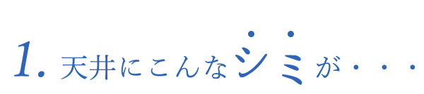 1天井にこんなシミが・・・