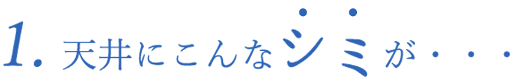 1天井にこんなシミが・・・