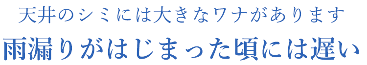 雨漏りがはじまった頃には遅い