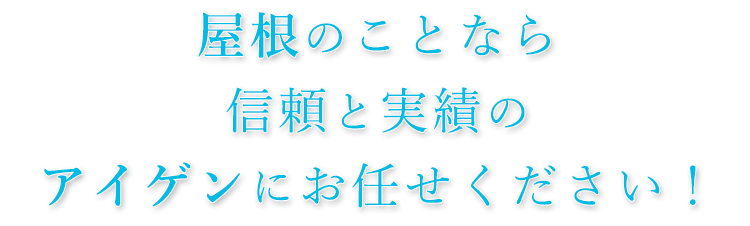 実績のアイゲンにお任せください